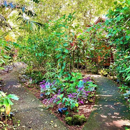 Coral Hill Bungalows Cahuita Kültér fotó
