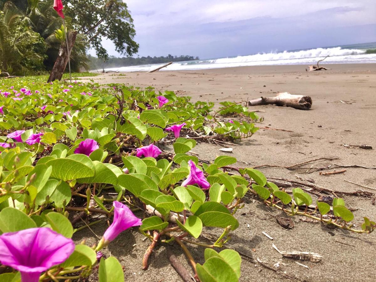 Coral Hill Bungalows Cahuita Kültér fotó