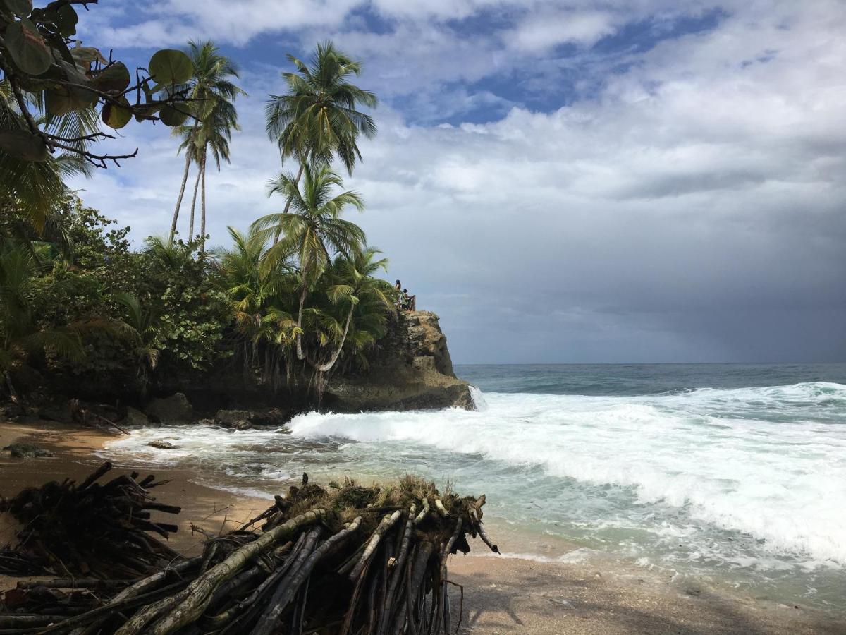 Coral Hill Bungalows Cahuita Kültér fotó