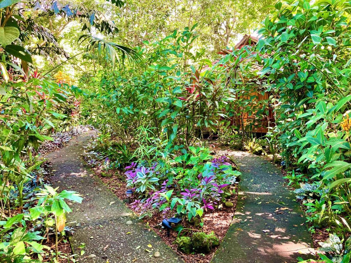 Coral Hill Bungalows Cahuita Kültér fotó