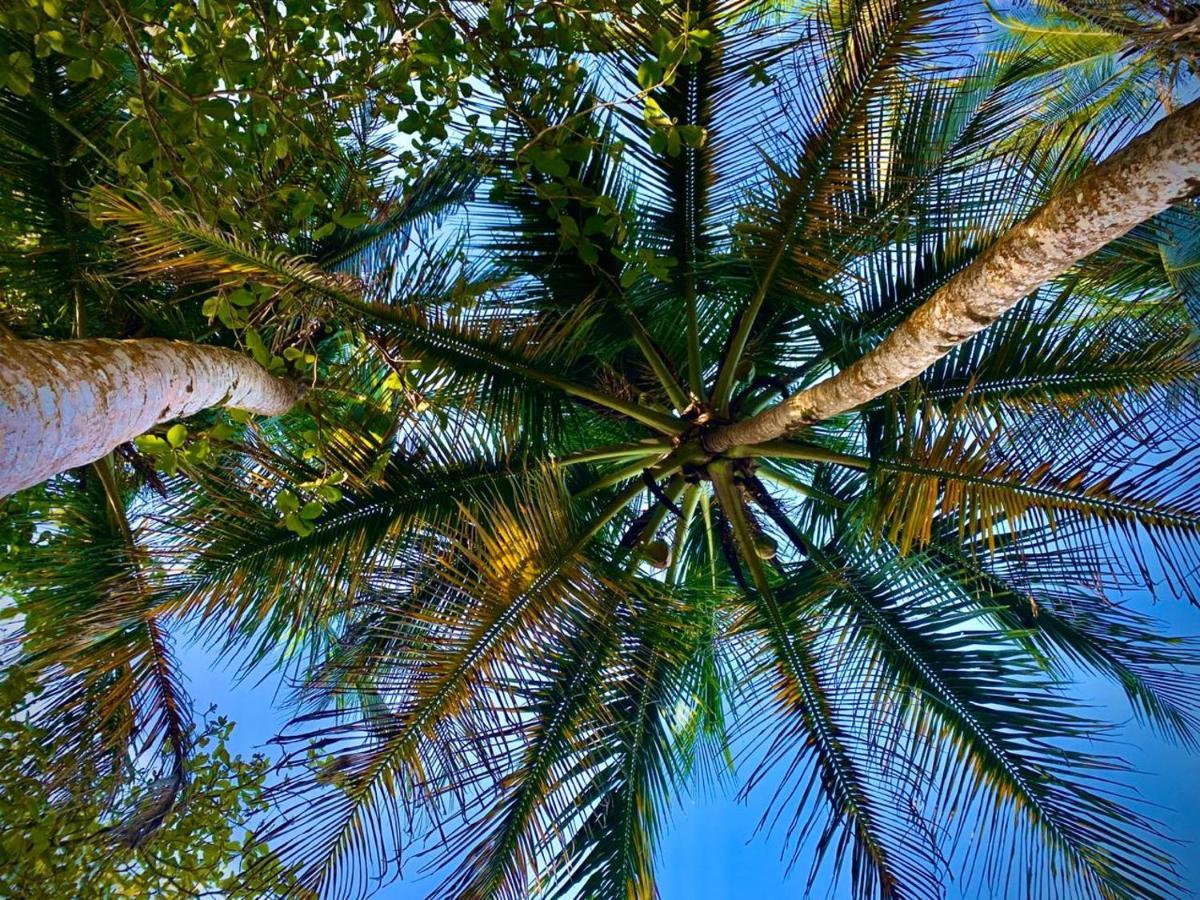 Coral Hill Bungalows Cahuita Kültér fotó