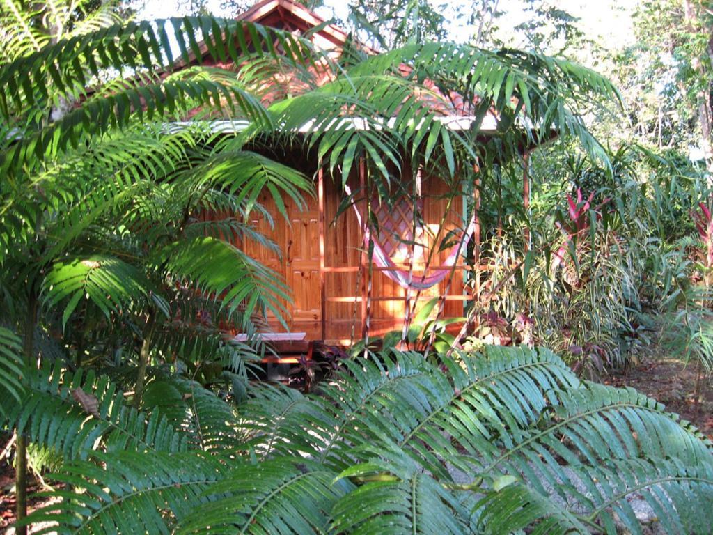 Coral Hill Bungalows Cahuita Kültér fotó