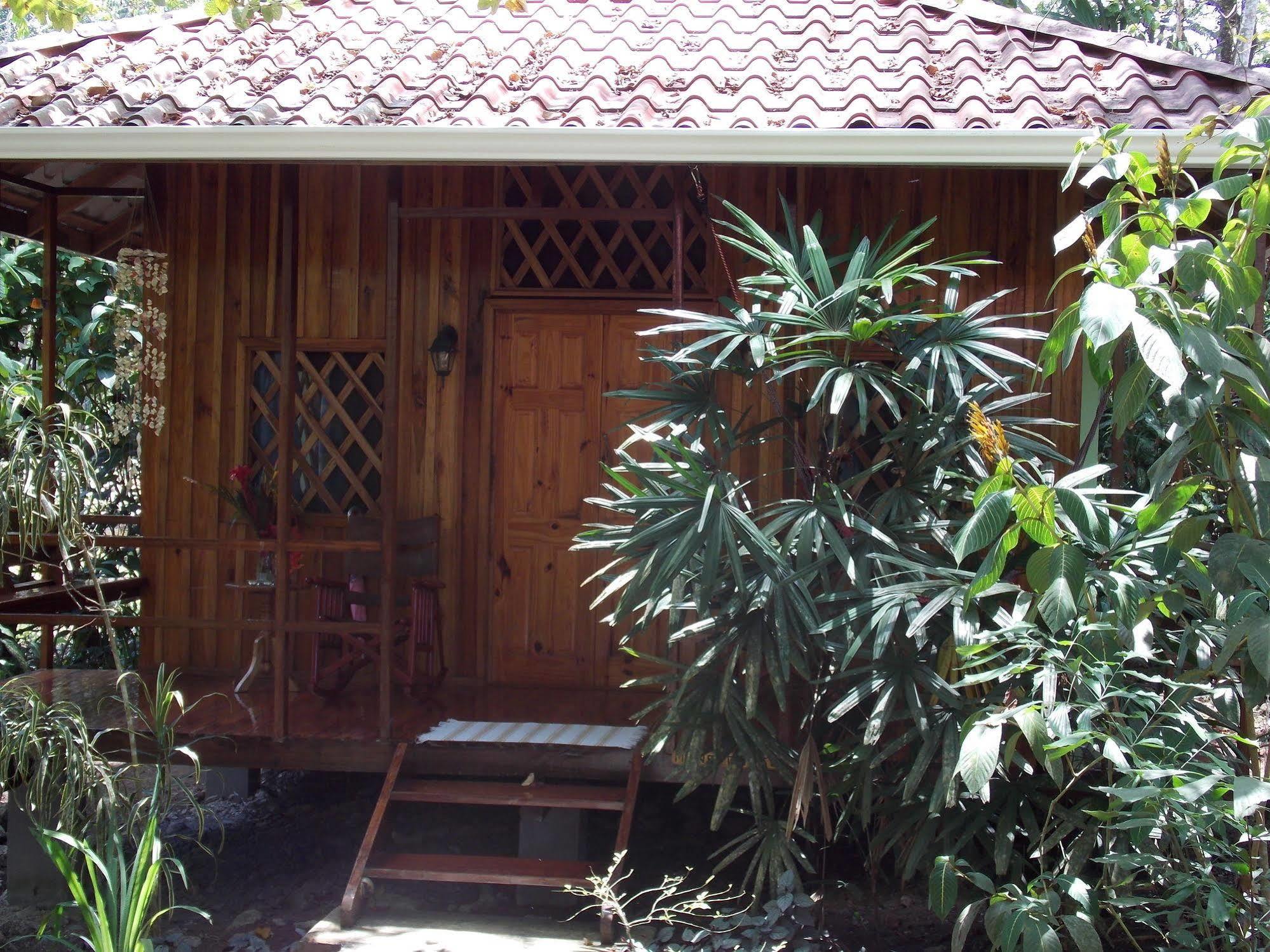 Coral Hill Bungalows Cahuita Kültér fotó
