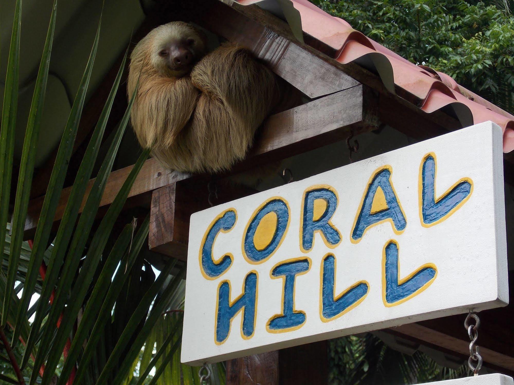 Coral Hill Bungalows Cahuita Kültér fotó