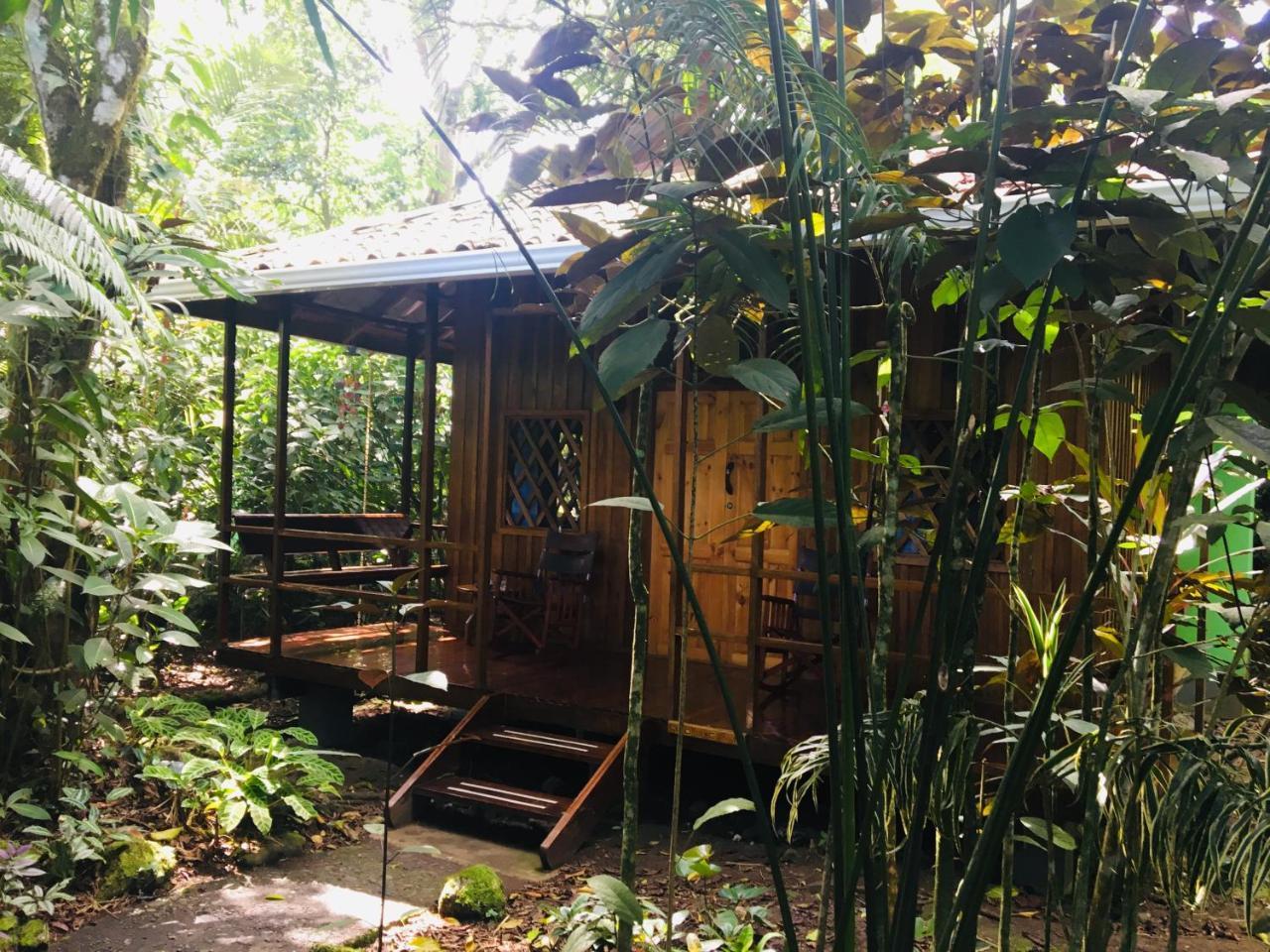 Coral Hill Bungalows Cahuita Kültér fotó