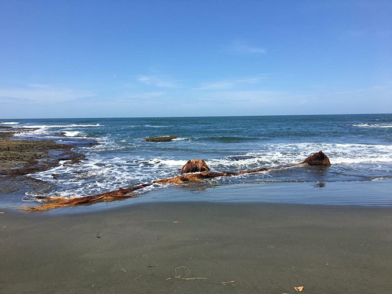 Coral Hill Bungalows Cahuita Kültér fotó